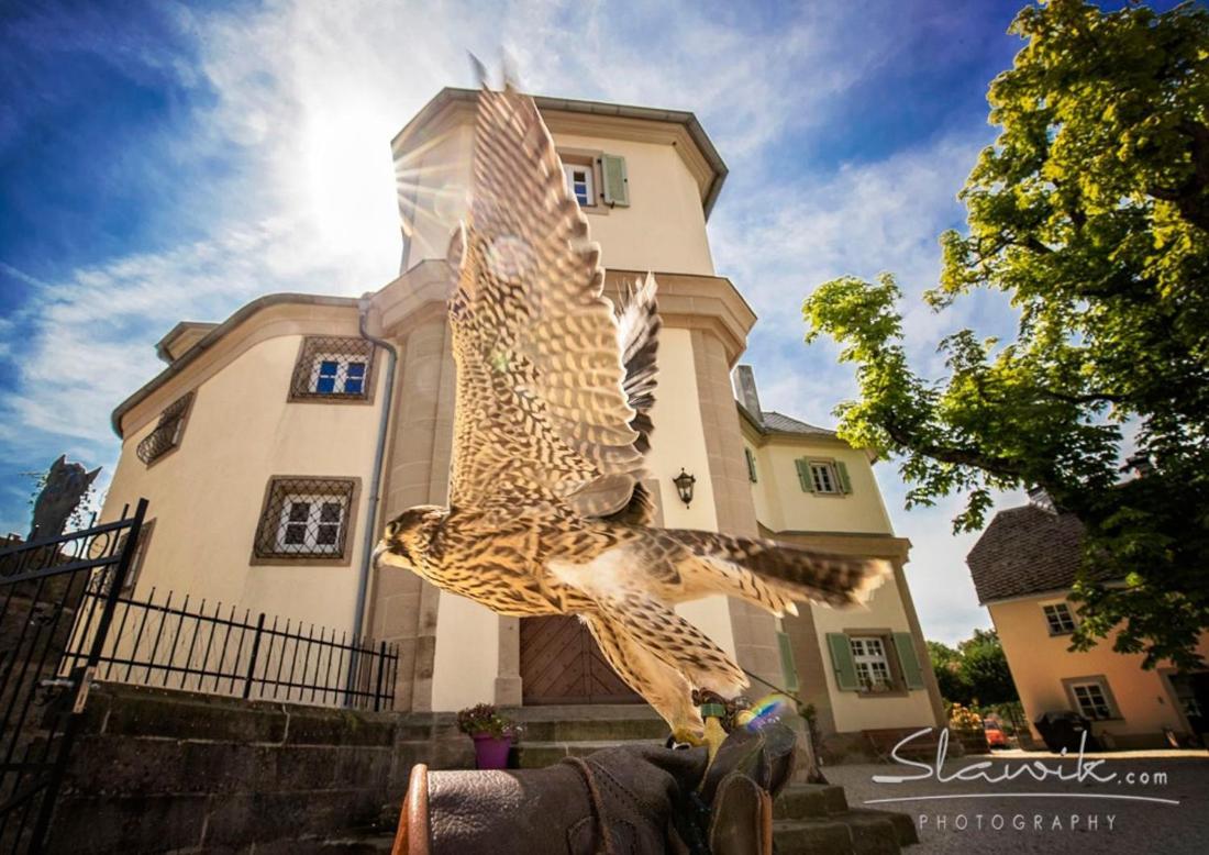 Schloss Falkenhaus Bad Berneck im Fichtelgebirge Zewnętrze zdjęcie